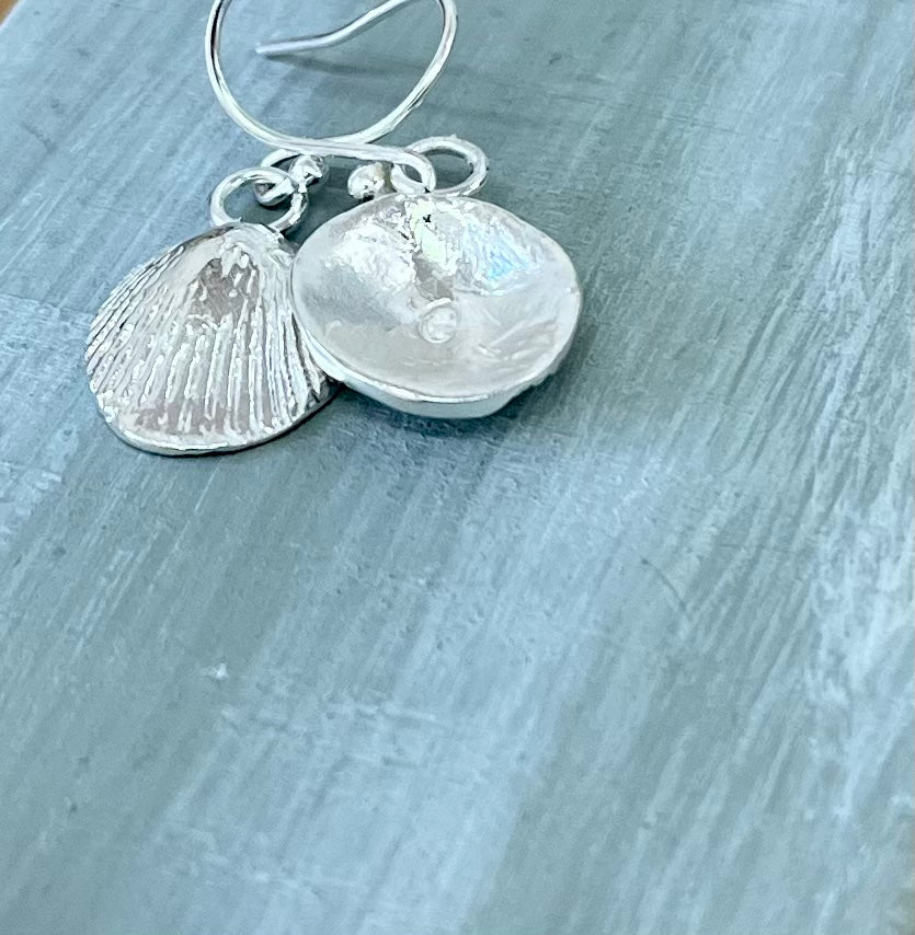 Coastal Collection - Little sea shell drop earrings in recycled silver.